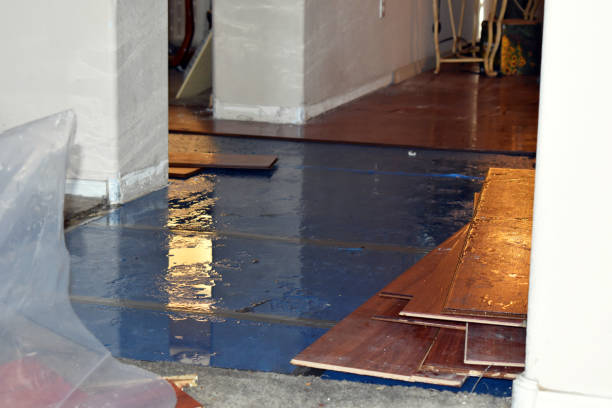 Professional Water Damage Restoration technician working in North Jackson, OH